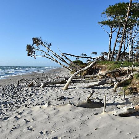 Strandhafer An Der Seebruecke ซิงสท์ ภายนอก รูปภาพ