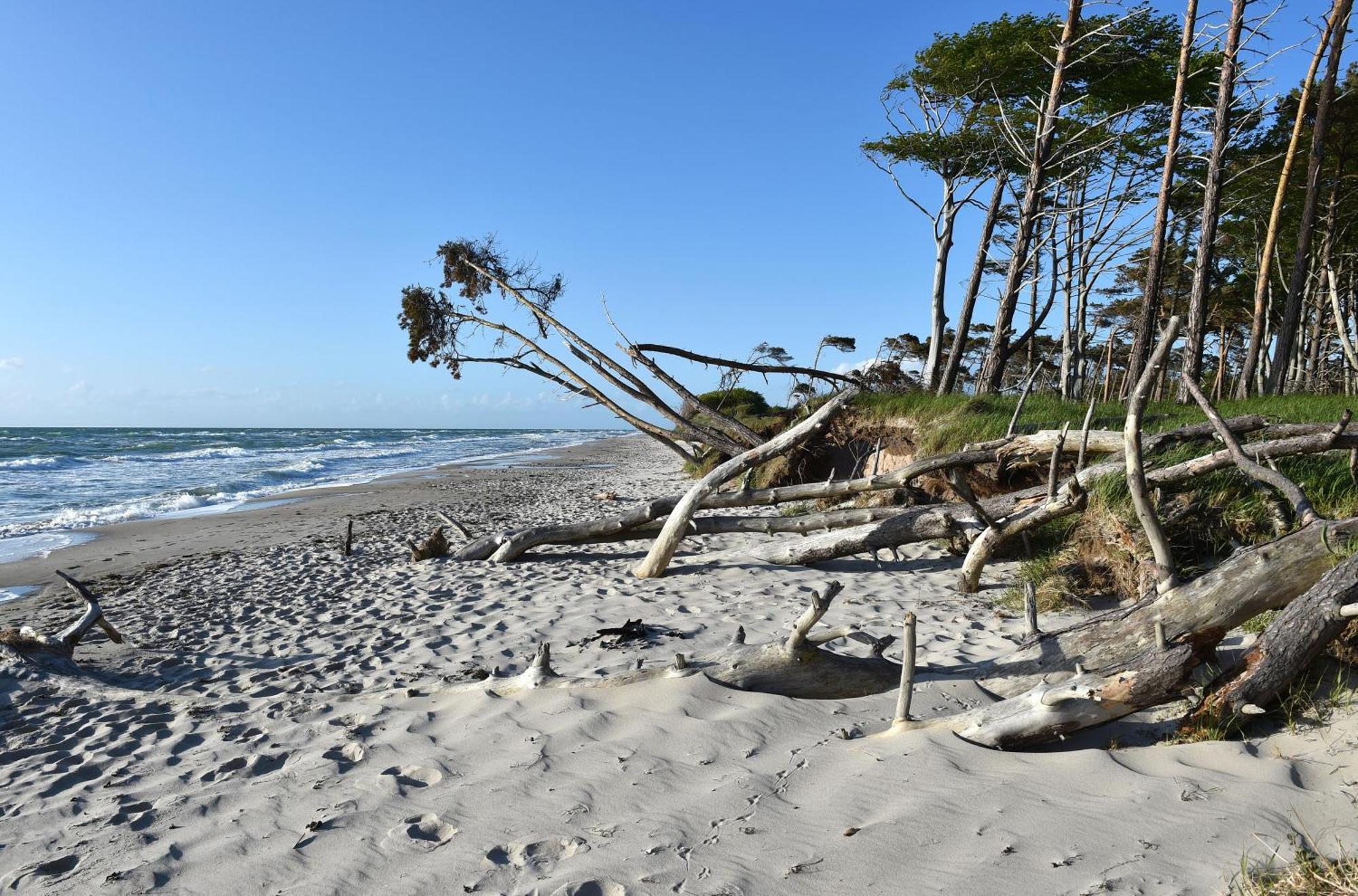 Strandhafer An Der Seebruecke ซิงสท์ ภายนอก รูปภาพ