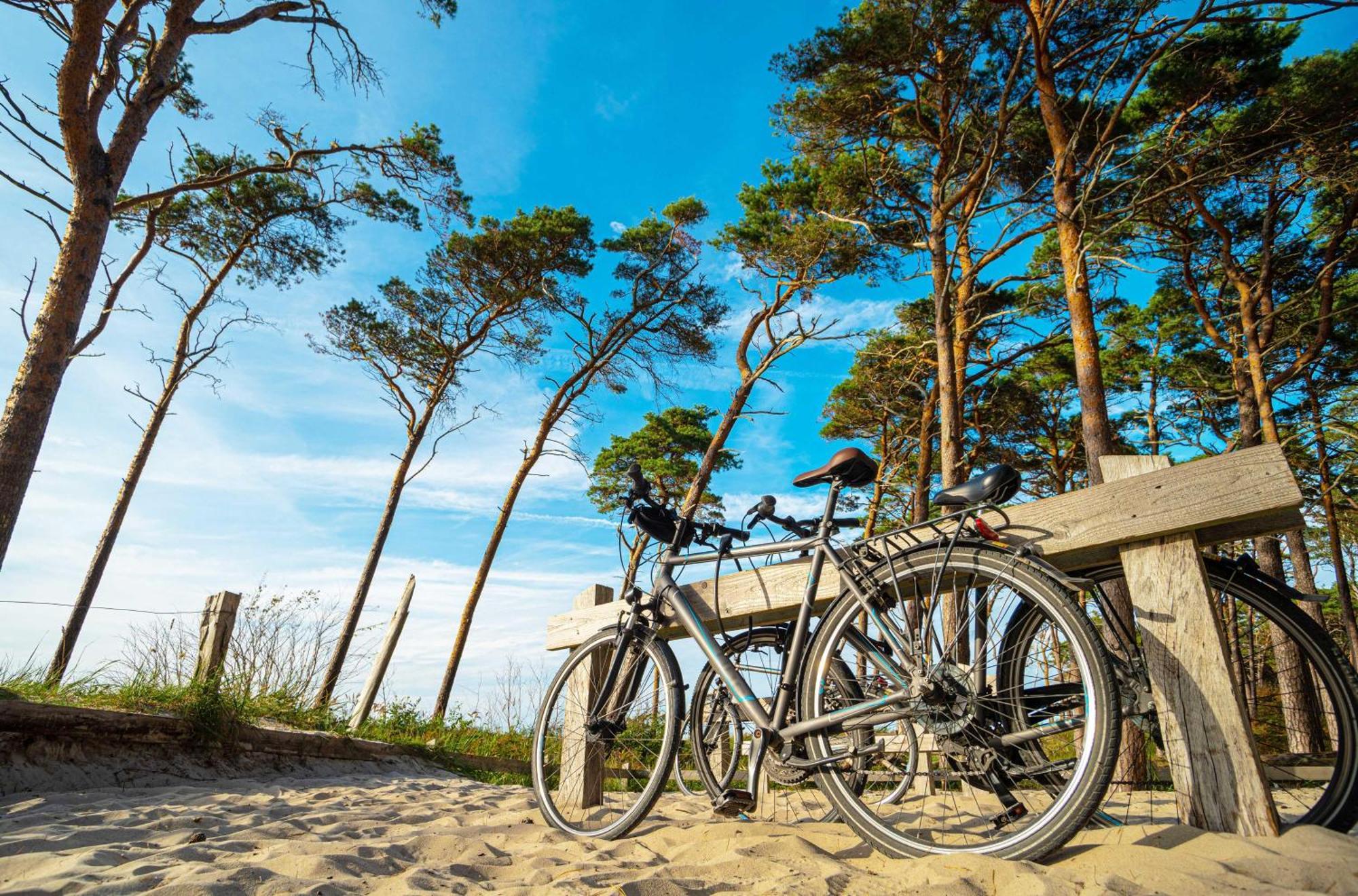 Strandhafer An Der Seebruecke ซิงสท์ ภายนอก รูปภาพ