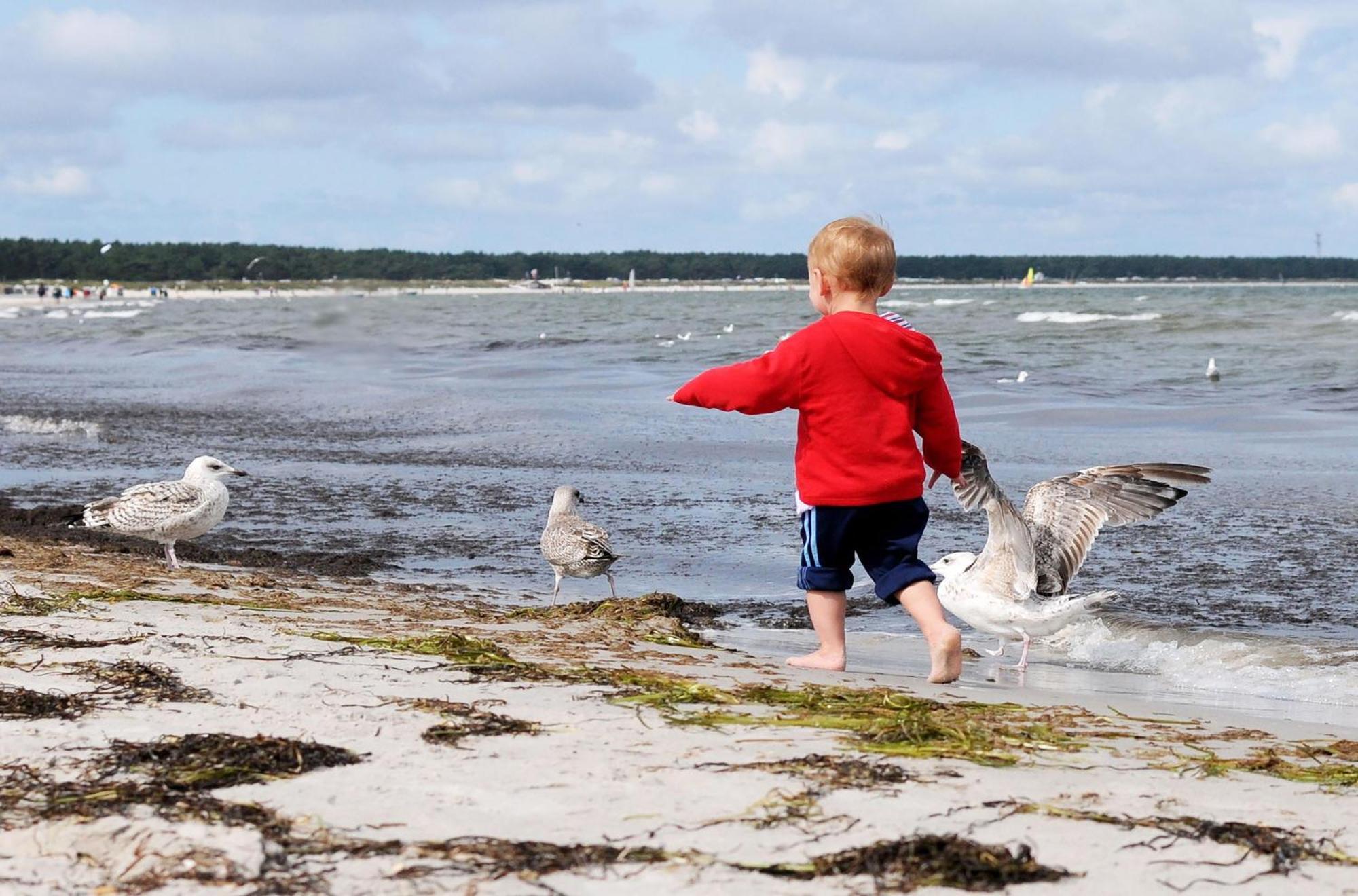 Strandhafer An Der Seebruecke ซิงสท์ ภายนอก รูปภาพ